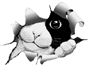 felix