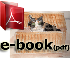 rkpb-e-book