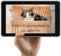 dl e-pad rkpb