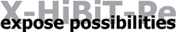 x-hibit-pe